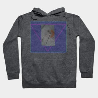 Cat Retro Vibe Hoodie